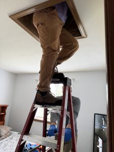 Weatherization Team in attic